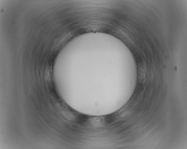 X0000076250126200610191658