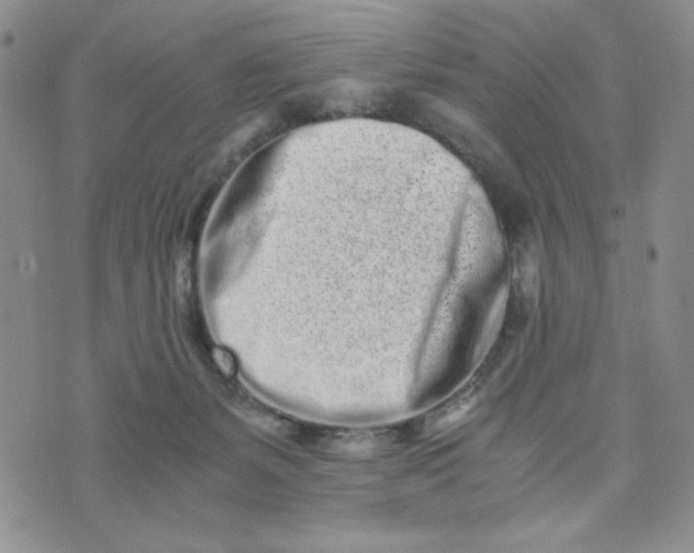 X0000076250127200610191658