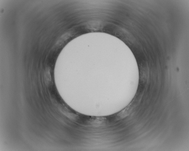 X0000076250128200610191658