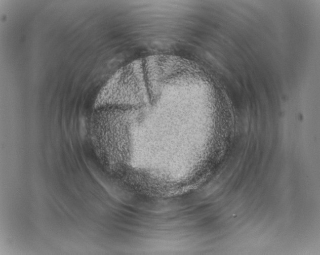 X0000076250130200610191658