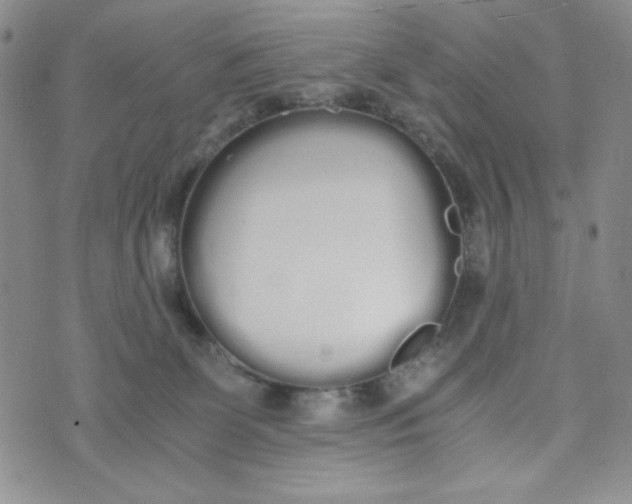 X0000076250131200610191658