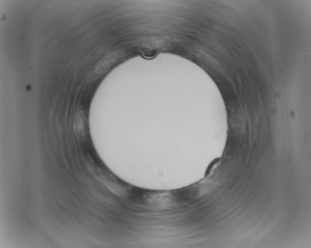 X0000076250132200610191658