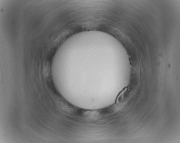 X0000076250133200610191658