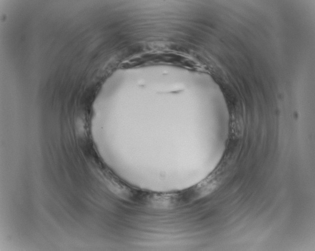 X0000076250134200610191658