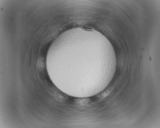 X0000076250135200610191658