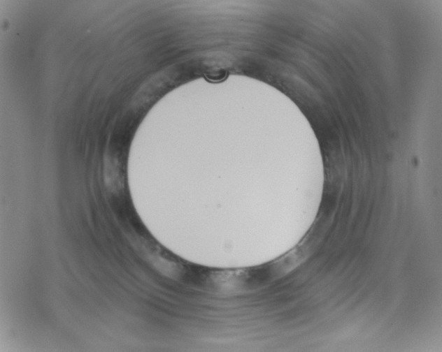 X0000076250136200610191658