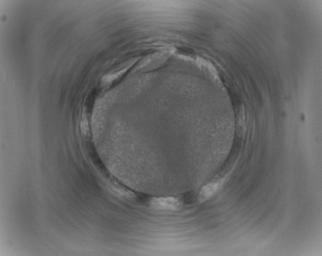 X0000076250137200610191658