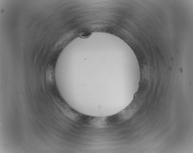 X0000076250138200610191658