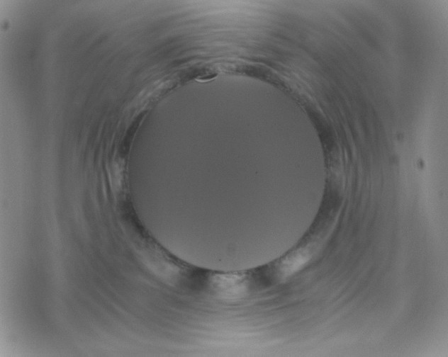 X0000076250139200610191658