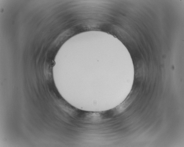 X0000076250140200610191658