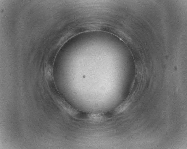 X0000076250141200610191658