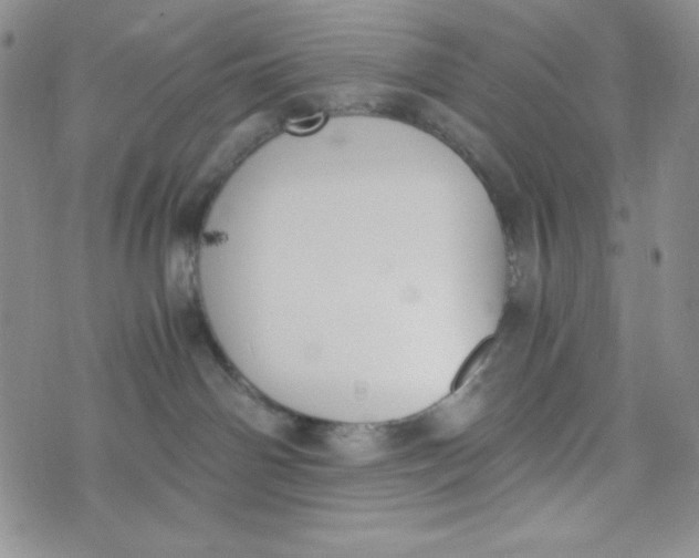 X0000076250142200610191658