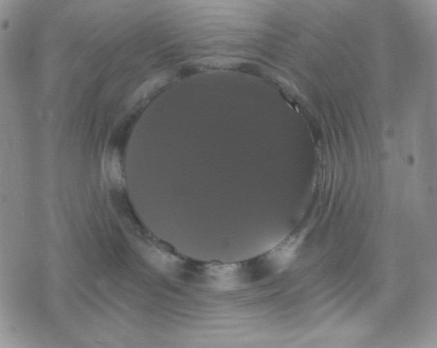 X0000076250143200610191658