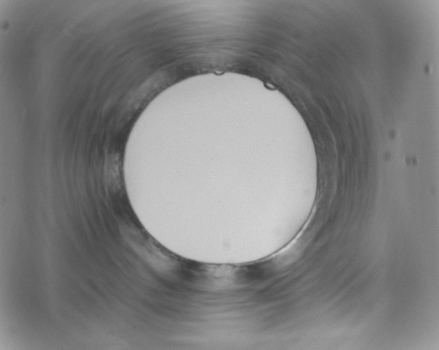 X0000076250144200610191658