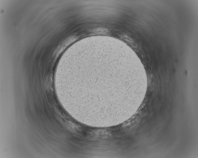 X0000076250146200610191657