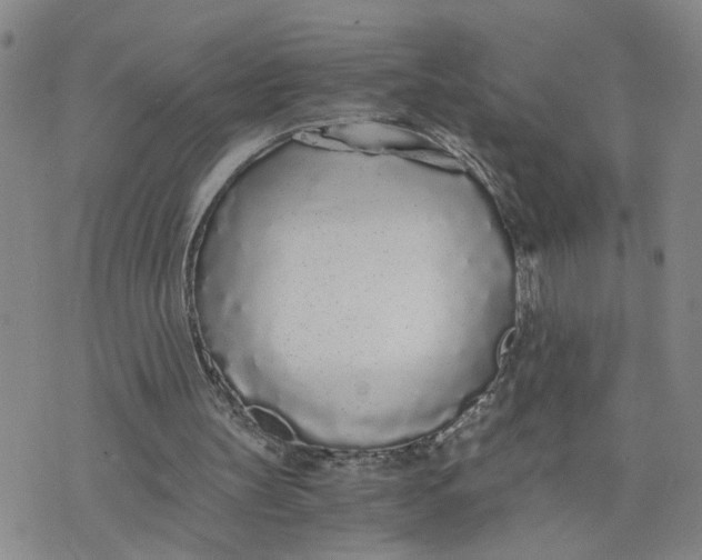 X0000076250147200610191657