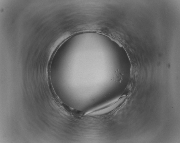 X0000076250148200610191657