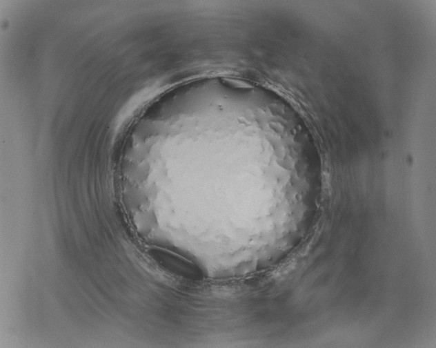 X0000076250149200610191657