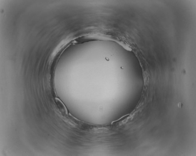 X0000076250150200610191657