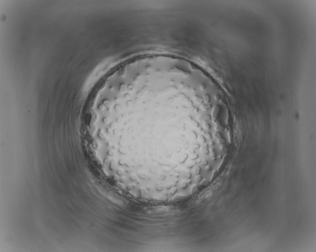 X0000076250151200610191657