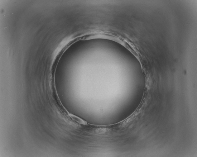 X0000076250152200610191657