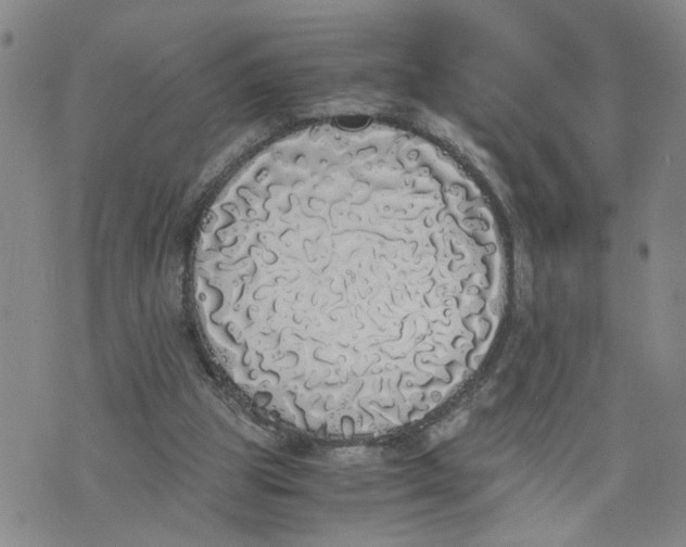 X0000076250153200610191657