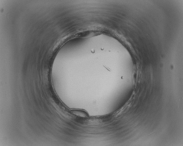 X0000076250154200610191657