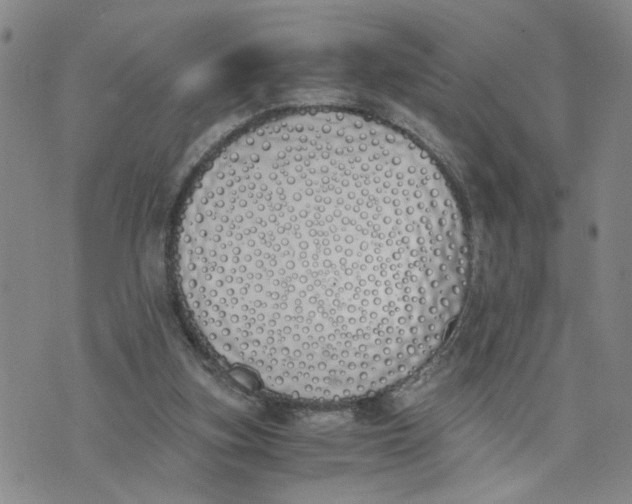 X0000076250155200610191657