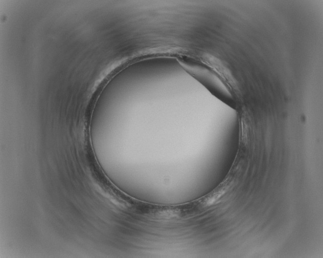 X0000076250156200610191657