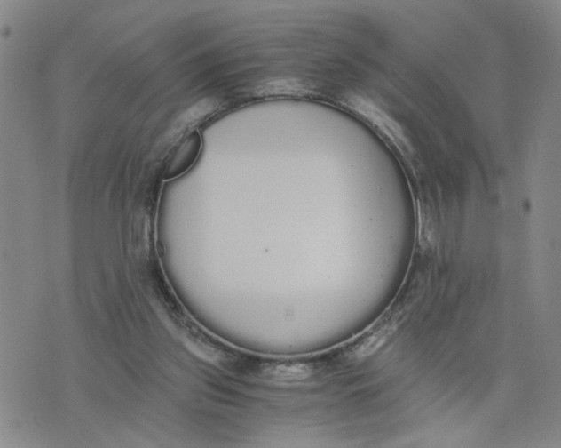 X0000076250157200610191657