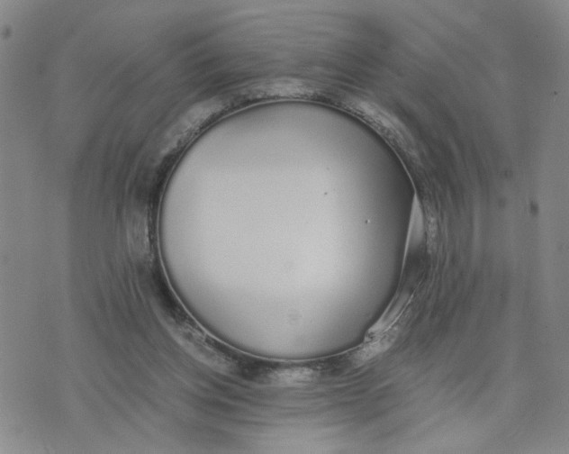 X0000076250158200610191657