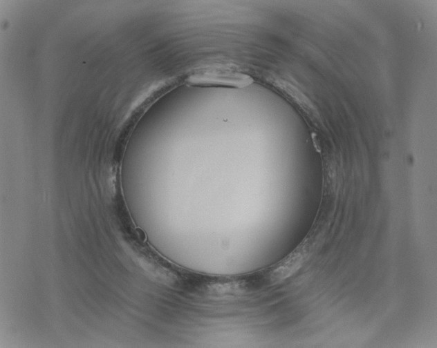 X0000076250160200610191657