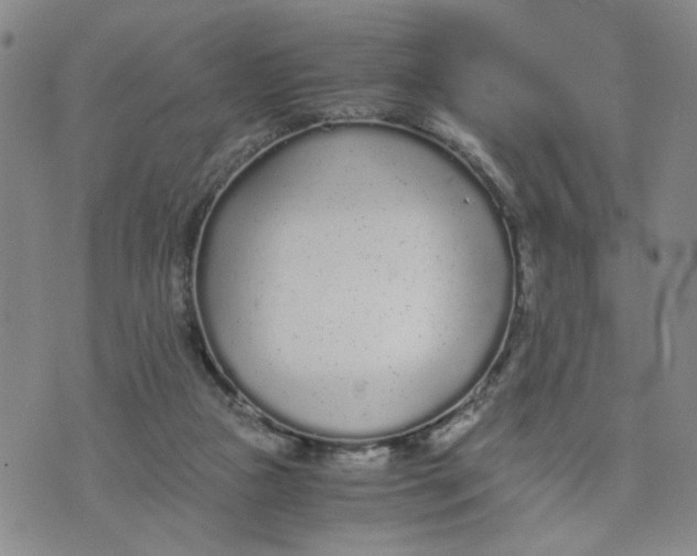 X0000076250161200610191657