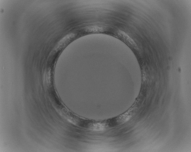 X0000076250163200610191657