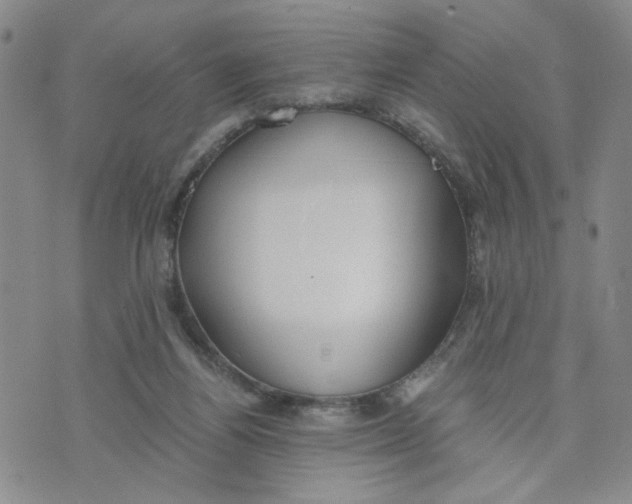 X0000076250164200610191657