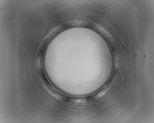 X0000076250165200610191658