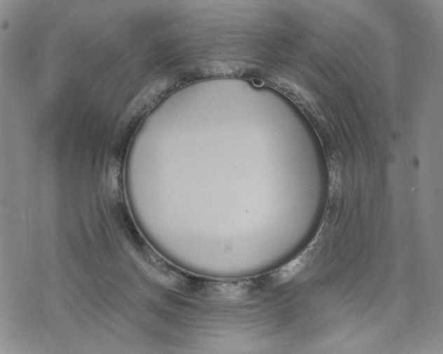 X0000076250166200610191658