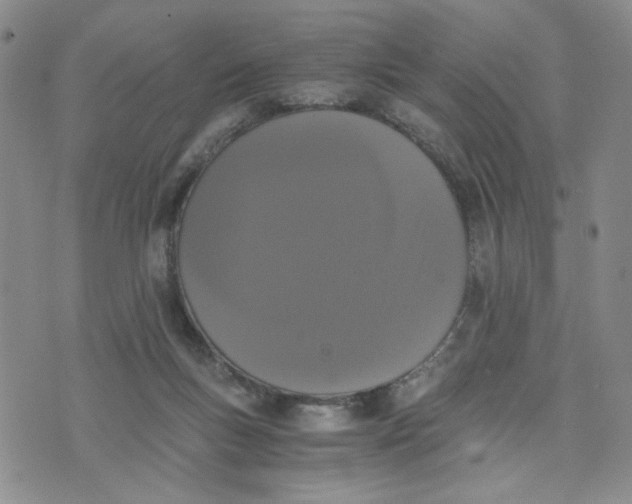 X0000076250167200610191658