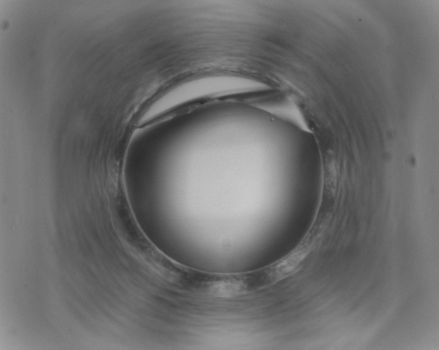 X0000076250168200610191658