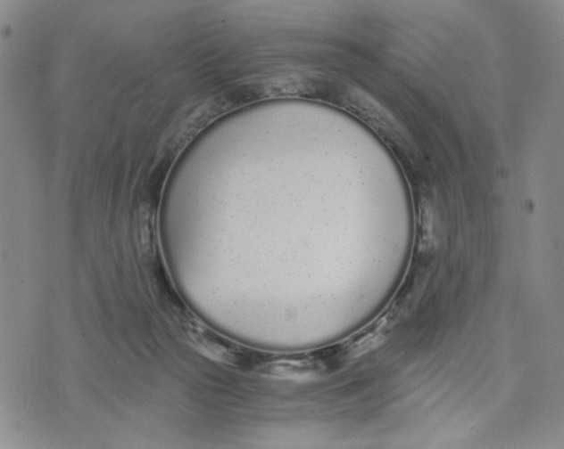 X0000076250169200610191658