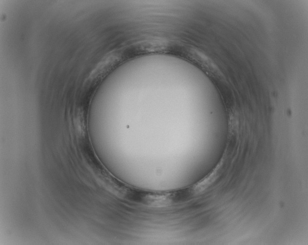 X0000076250170200610191658