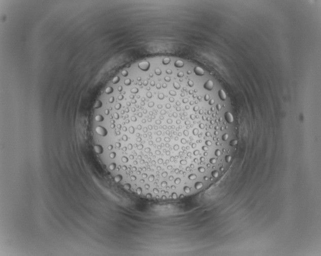 X0000076250171200610191658