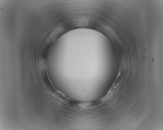 X0000076250172200610191658