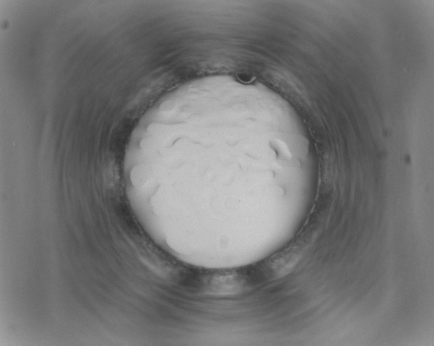 X0000076250173200610191658