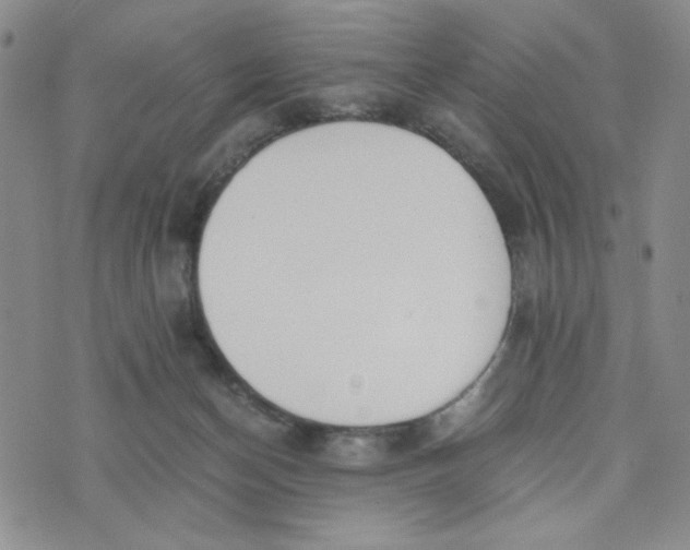 X0000076250174200610191658