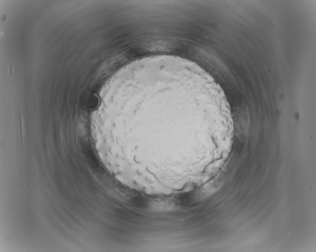 X0000076250175200610191658