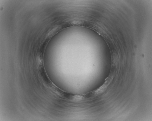 X0000076250176200610191658