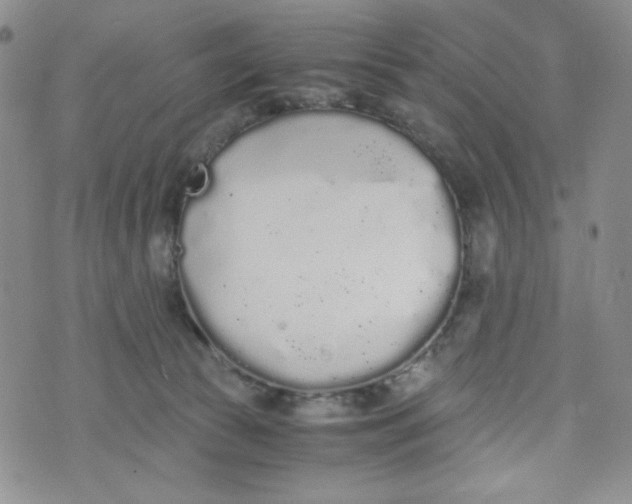 X0000076250177200610191658