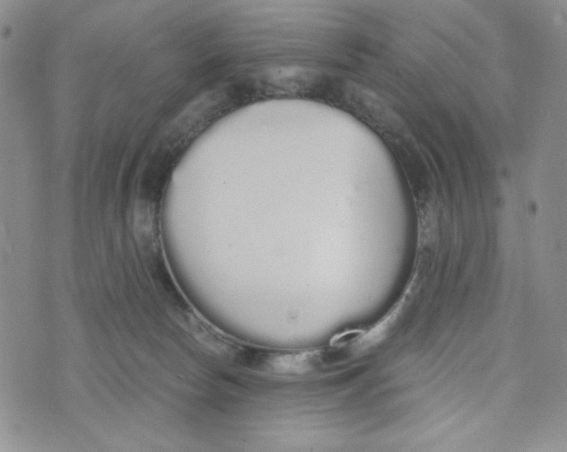 X0000076250178200610191658