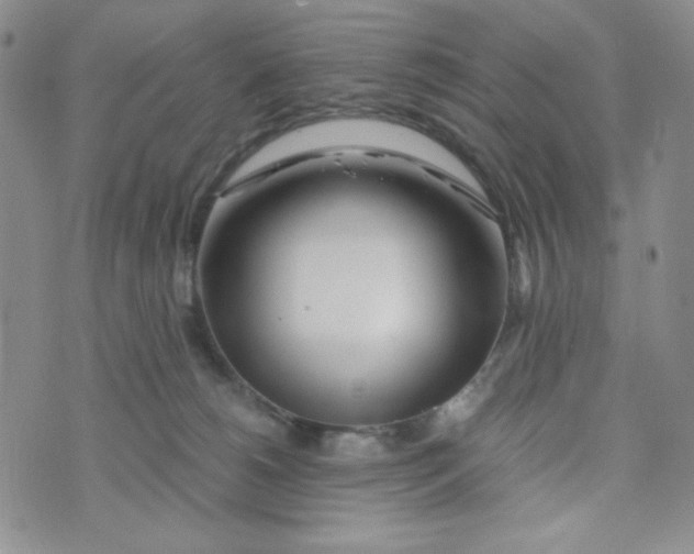 X0000076250180200610191658